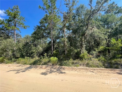 06 Old Augusta Rd, Clyo, GA 31303 - photo 3