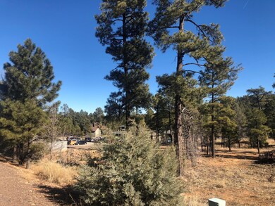 Tract D S White Mountain Rd, Show Low, AZ 85901 - photo 7