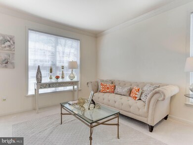 21537 Chickacoan Trail Dr, Broadlands, VA 20148 - photo 4