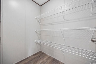 Spacious closet featuring dark wood-style floors