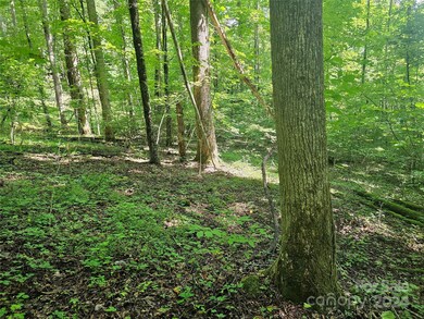 00 Orenda Dr unit 21/SEC C, Franklin, NC 28734 - photo 3