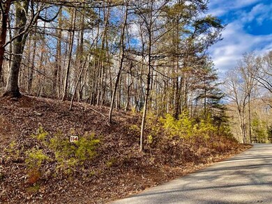 LOT 114 Yates Ln, Lake Lure, NC 28746 - photo 3