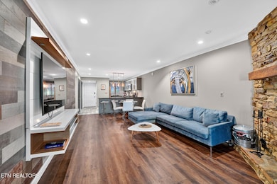 3621 Householder St unit 1, Pigeon Forge, TN 37863 - photo 7