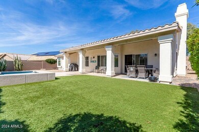 W - Yard and turf