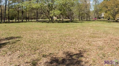 39423 Bon Terre Dr, Gonzales, LA 70737 - photo 7