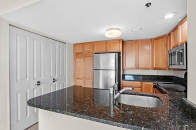 Regatta Riverview Residences unit 923, Cambridge, MA 02141 - photo 6