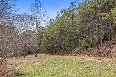 7.18 Ac McJunkin Rd, Turtletown, TN 37391 - photo 3