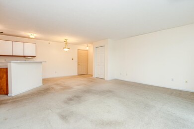 Living/Dining Rooms