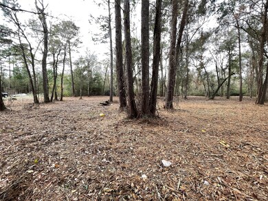 00 County Road 4021, Dayton, TX 77535 - photo 3