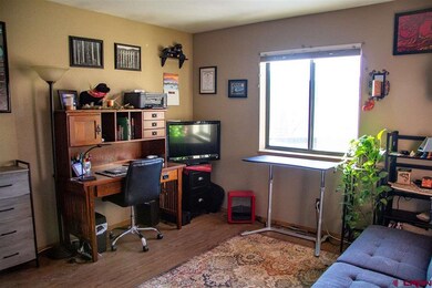 3227 E 7th Ave, Durango, CO 81301 - photo 6