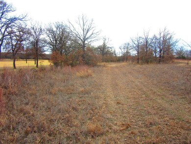 241 Perkins Rd, Poolville, TX 76487 - photo 6