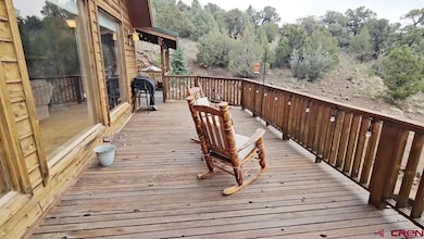 3438 Bear Creek Cir, South Fork, CO 81154 - photo 4