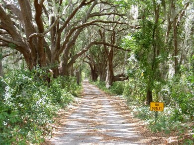 5028 NE 137 Rd, Oxford, FL 34484 - photo 5