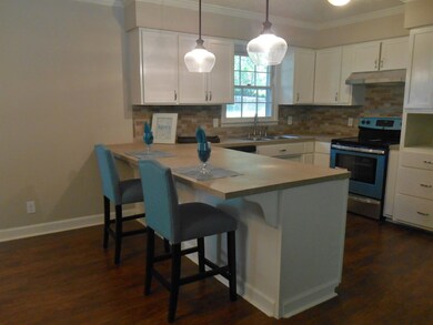 349 Fredonia Rd, Manchester, TN 37355 - photo 5