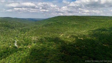 003 E Bolen Hollow W, Pittsburg, OK 74560 - photo 3