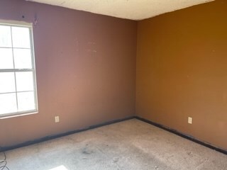 3247 E County Road 310, Blytheville, AR 72315 - photo 6