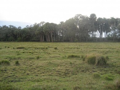 1010 NW 141st St, Okeechobee, FL 34972 - photo 6