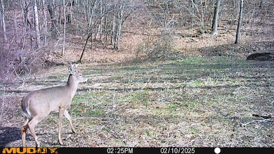 2025-06-17_21-16-22_566