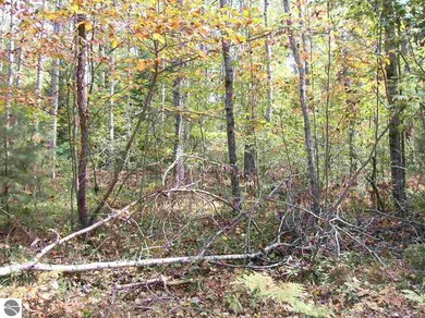 0 Lula Ln unit 52-55 1855604, Alger, MI 48756 - photo 6