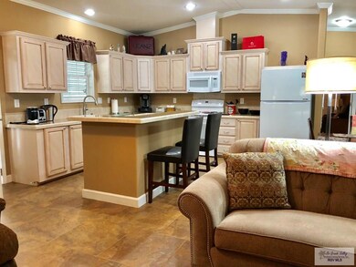 1216 N Palmera Dr, La Feria, TX 78559 - photo 2