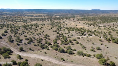 41 Indian Dr, Concho, AZ 85924 - photo 3
