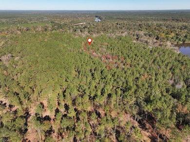 Old_Hwy_24_W_Lot_32-6