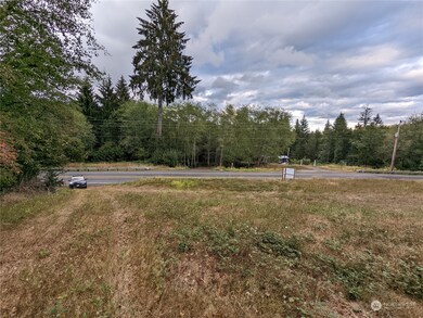 290 State Rt 6, Raymond, WA 98577 - photo 4