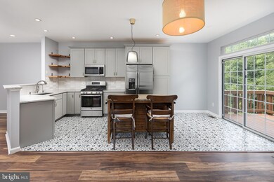 10147 Pale Rose Loop, Bristow, VA 20136 - photo 5