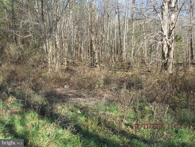 0 Mcduff Rd unit 1003284534, Caroline, VA 22546 - photo 6