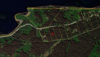 GIS marked