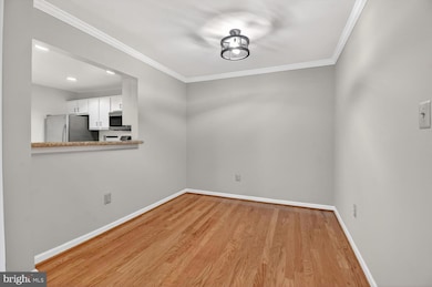 15307 Diamond Cove Terrace, Rockville, MD 20850 - photo 4