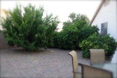 fruit trees