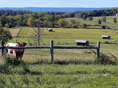 Ridgetop views 5