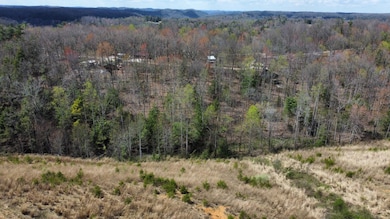 dji_fly_20250410_151022_761_174431240684
