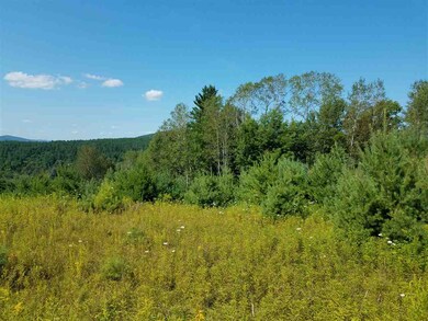 0 Overlook Dr unit A5, Saint Johnsbury, VT 05819 - photo 3