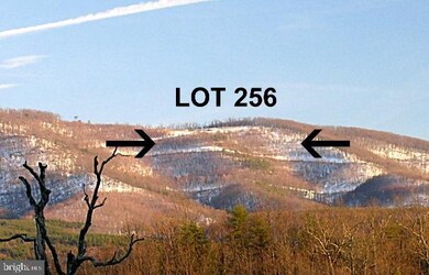 Lot 256 S Branch Mountain Rd, Moorefield, WV 26836 - photo 2