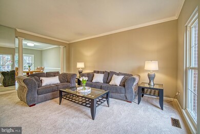 20343 Briarcliff Terrace, Sterling, VA 20165 - photo 5