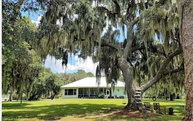 337 Holmes Ave, Lake Placid, FL 33852 - photo 6