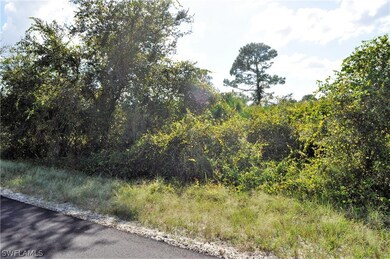 6017 Paula Ave N, Lehigh Acres, FL 33971 - photo 4