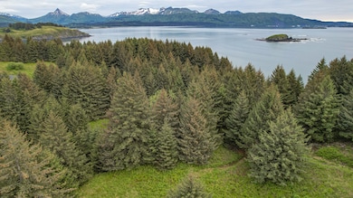 6186 Cliff Point Rd, Kodiak, AK 99615 - photo 3