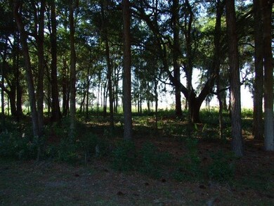 Marsh View