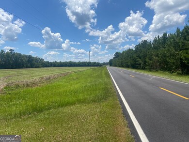 4848 Holmesville Rd, Jesup, GA 31545 - photo 5