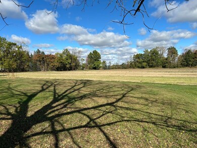 0 Covert Rd, Summerfield Township, MI 49270 - photo 6