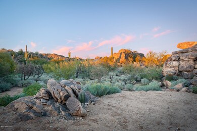 Quiet Desert Common Area Backyard