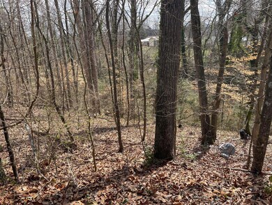 0 Mark Twain Cir unit 1511690, Chattanooga, TN 37406 - photo 5