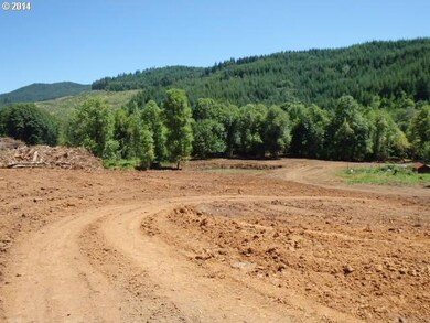 17508 Nonpareil Rd, Sutherlin, OR 97479 - photo 5