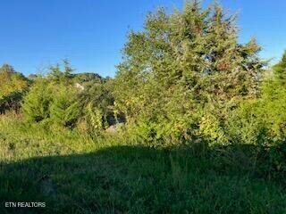 553 Garnet Trail, New Tazewell, TN 37825 - photo 6