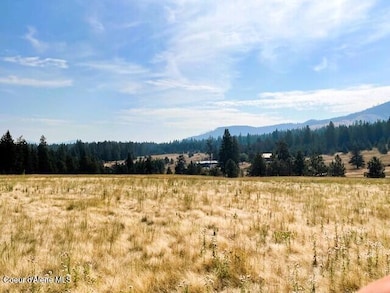 NKA-1 Bill Morris Rd, Plummer, ID 83851 - photo 4