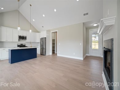 225 Lone Pine Rd unit 8, Statesville, NC 28625 - photo 7