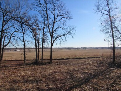 TBD LOT 1 Highway 43, Siloam Springs, AR 72761 - photo 4